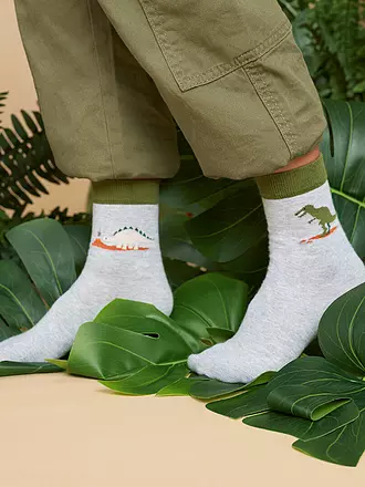 FALKE | Jungen Socken DINOSAURS LT heather | 